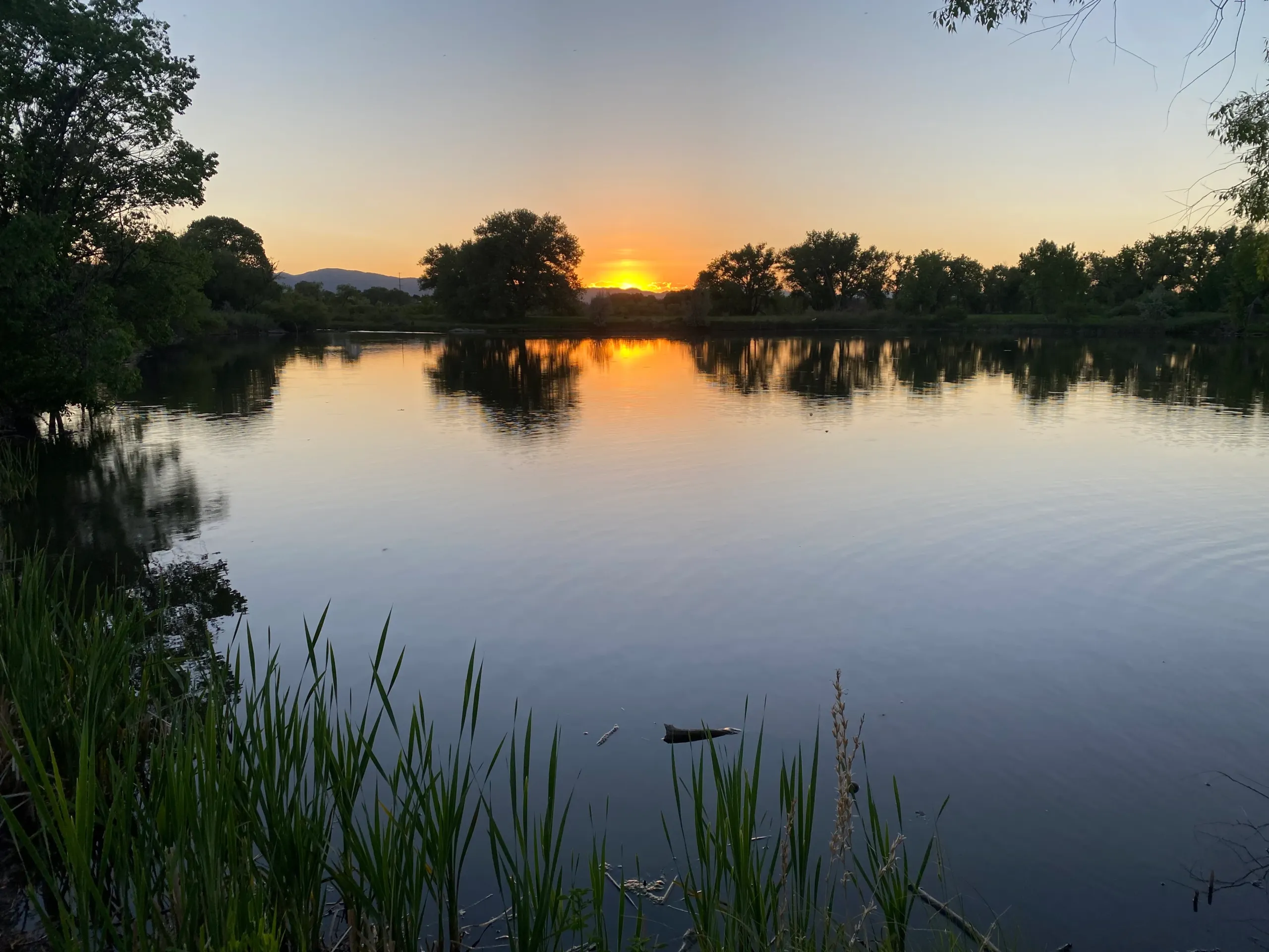 Lakeview